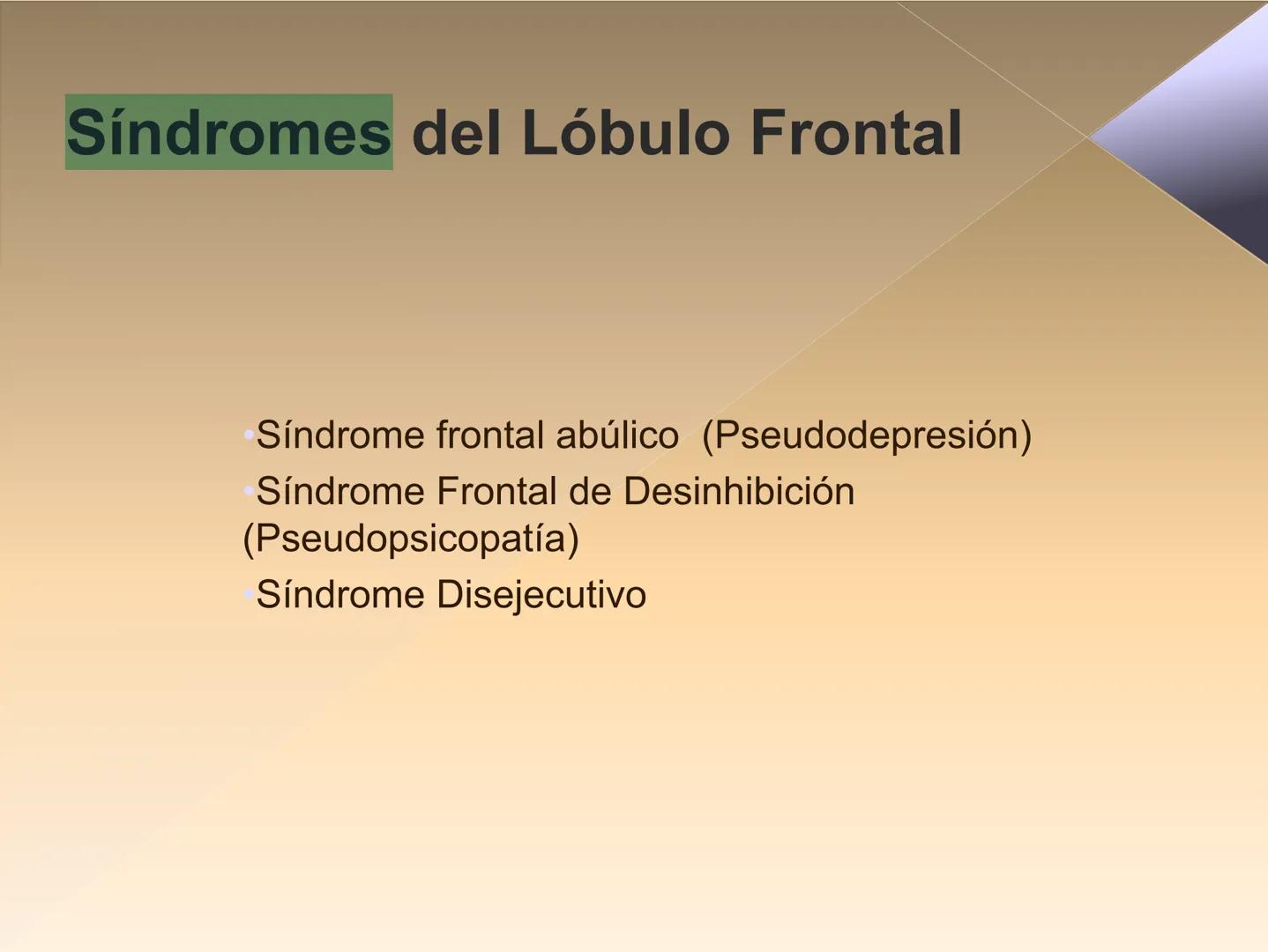 Neuropsicología de las
Funciones ejecutivas
Adriana M. Martínez M.
Ms. RHN y EC-UAB ejecutar
Para vivir las personas deben actuar; para
actu