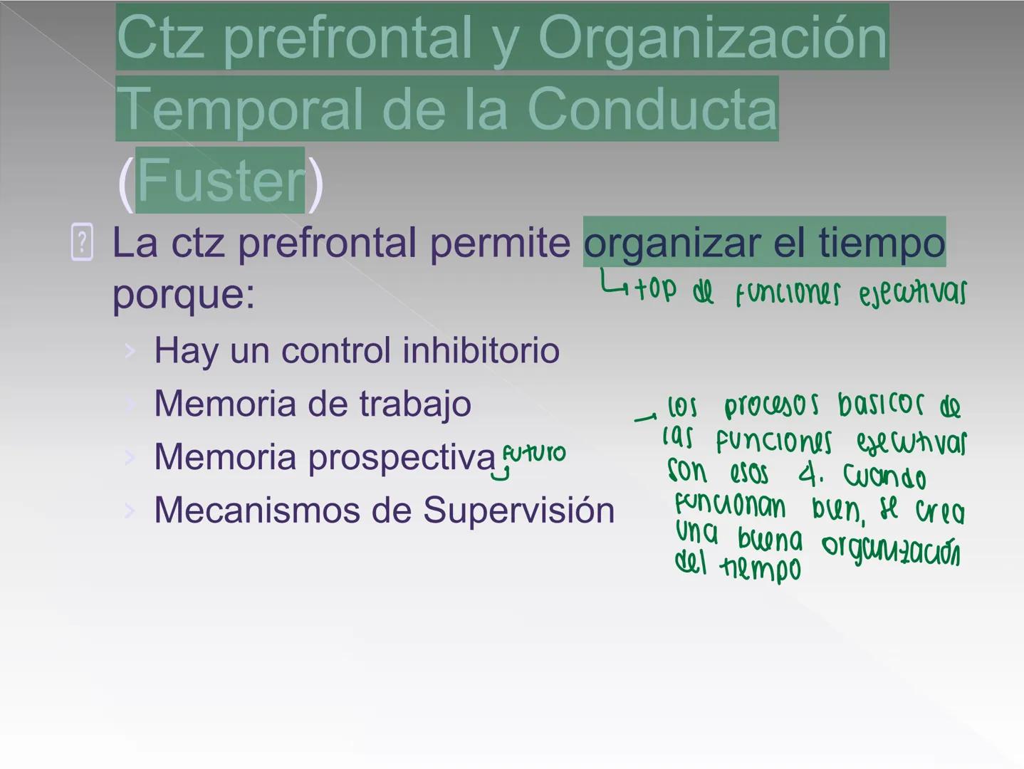 Neuropsicología de las
Funciones ejecutivas
Adriana M. Martínez M.
Ms. RHN y EC-UAB ejecutar
Para vivir las personas deben actuar; para
actu