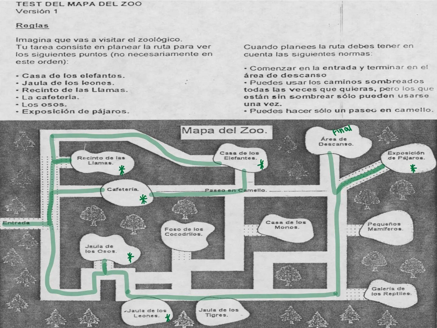 Neuropsicología de las
Funciones ejecutivas
Adriana M. Martínez M.
Ms. RHN y EC-UAB ejecutar
Para vivir las personas deben actuar; para
actu