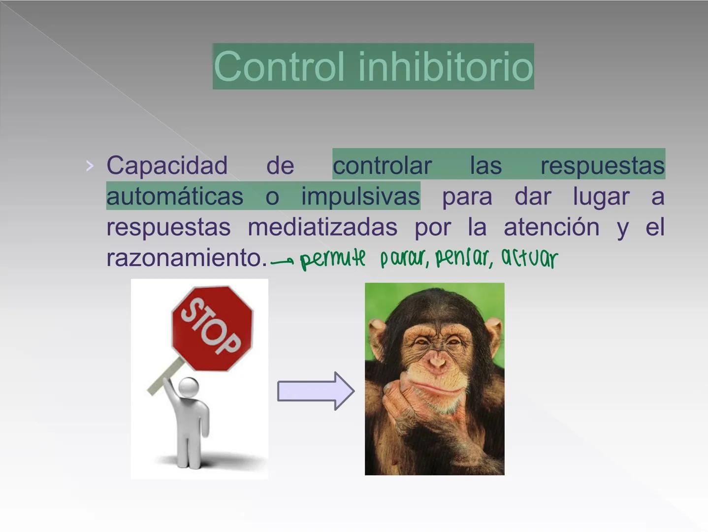 Neuropsicología de las
Funciones ejecutivas
Adriana M. Martínez M.
Ms. RHN y EC-UAB ejecutar
Para vivir las personas deben actuar; para
actu