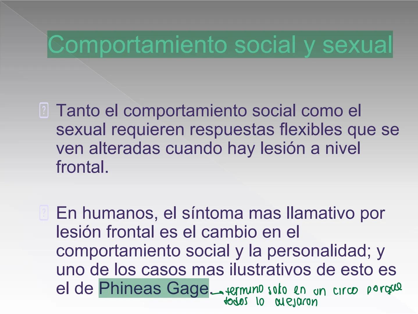 Neuropsicología de las
Funciones ejecutivas
Adriana M. Martínez M.
Ms. RHN y EC-UAB ejecutar
Para vivir las personas deben actuar; para
actu