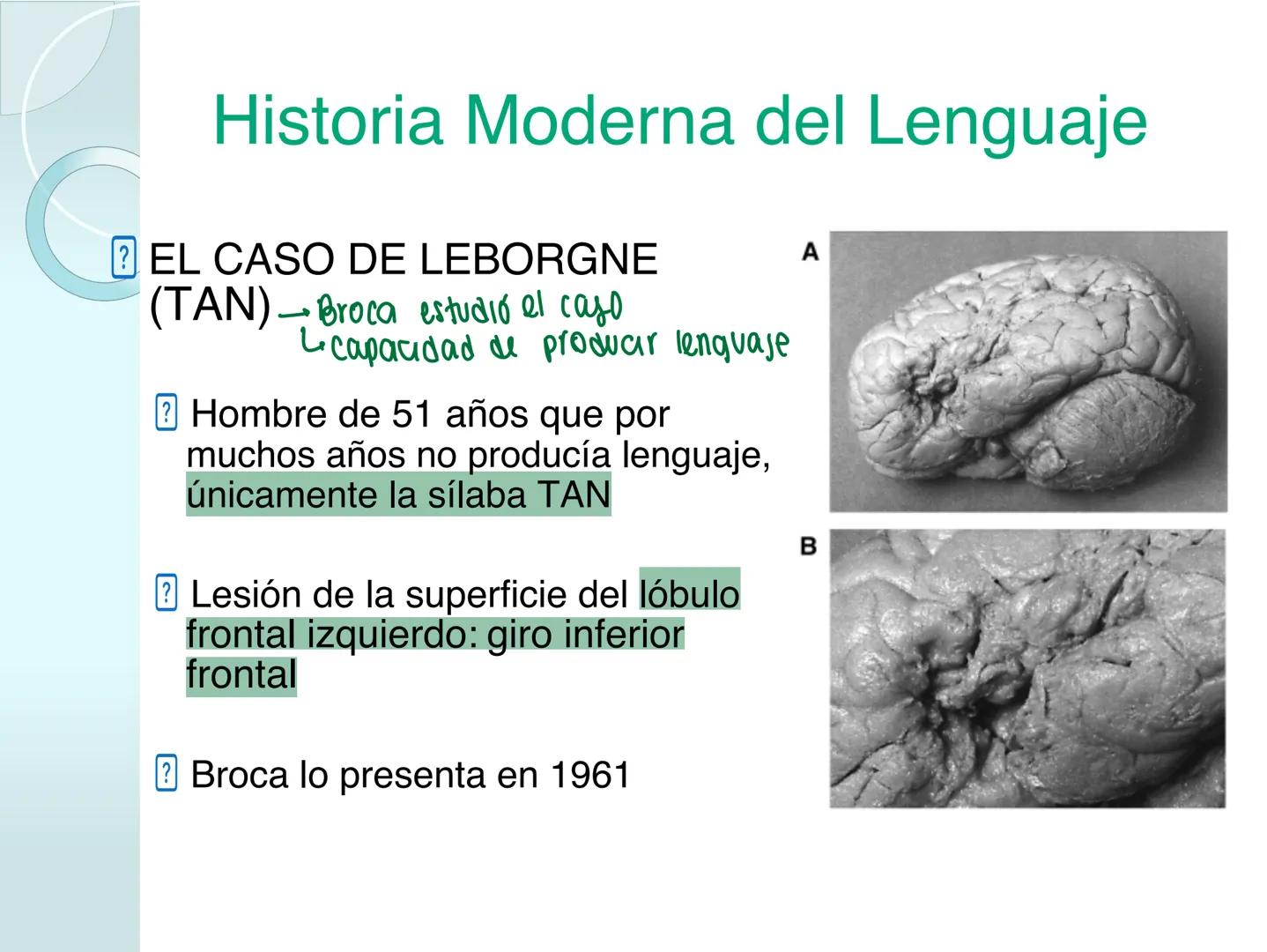 # NEUROPSICOLOGIA DEL
LENGUAJE
ADRIANA M. MARTINEZ
Máster en Rehabilitación Neuropsicológica y
Estimulación Cognitiva- UAB Definición
? -