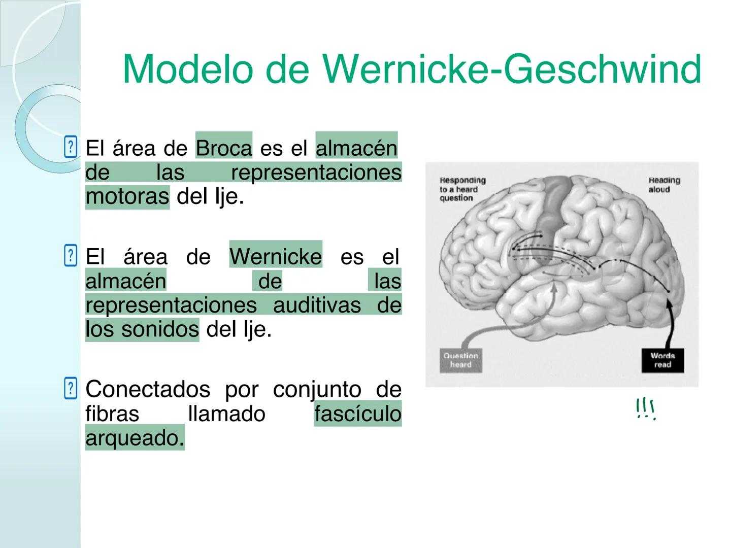 # NEUROPSICOLOGIA DEL
LENGUAJE
ADRIANA M. MARTINEZ
Máster en Rehabilitación Neuropsicológica y
Estimulación Cognitiva- UAB Definición
? -