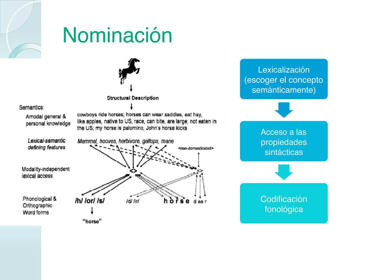 # NEUROPSICOLOGIA DEL
LENGUAJE
ADRIANA M. MARTINEZ
Máster en Rehabilitación Neuropsicológica y
Estimulación Cognitiva- UAB Definición
? -