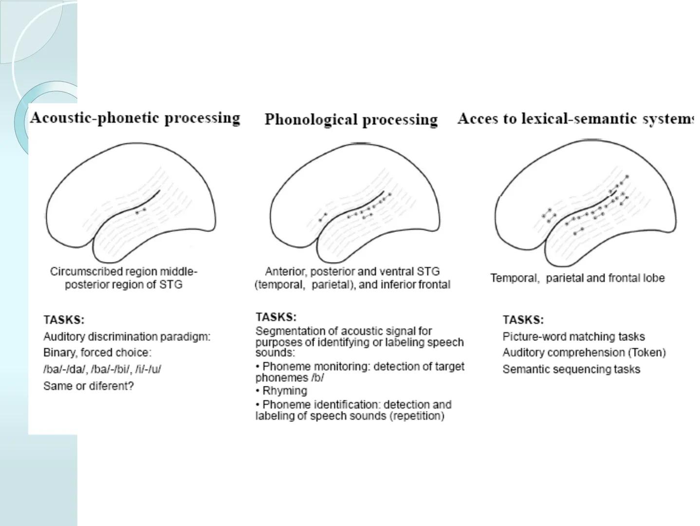 # NEUROPSICOLOGIA DEL
LENGUAJE
ADRIANA M. MARTINEZ
Máster en Rehabilitación Neuropsicológica y
Estimulación Cognitiva- UAB Definición
? -