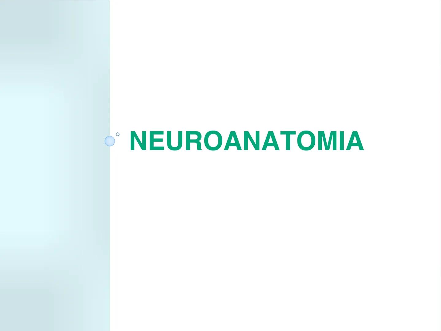 # NEUROPSICOLOGIA DEL
LENGUAJE
ADRIANA M. MARTINEZ
Máster en Rehabilitación Neuropsicológica y
Estimulación Cognitiva- UAB Definición
? -