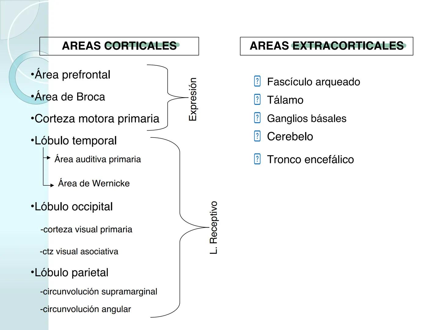 # NEUROPSICOLOGIA DEL
LENGUAJE
ADRIANA M. MARTINEZ
Máster en Rehabilitación Neuropsicológica y
Estimulación Cognitiva- UAB Definición
? -