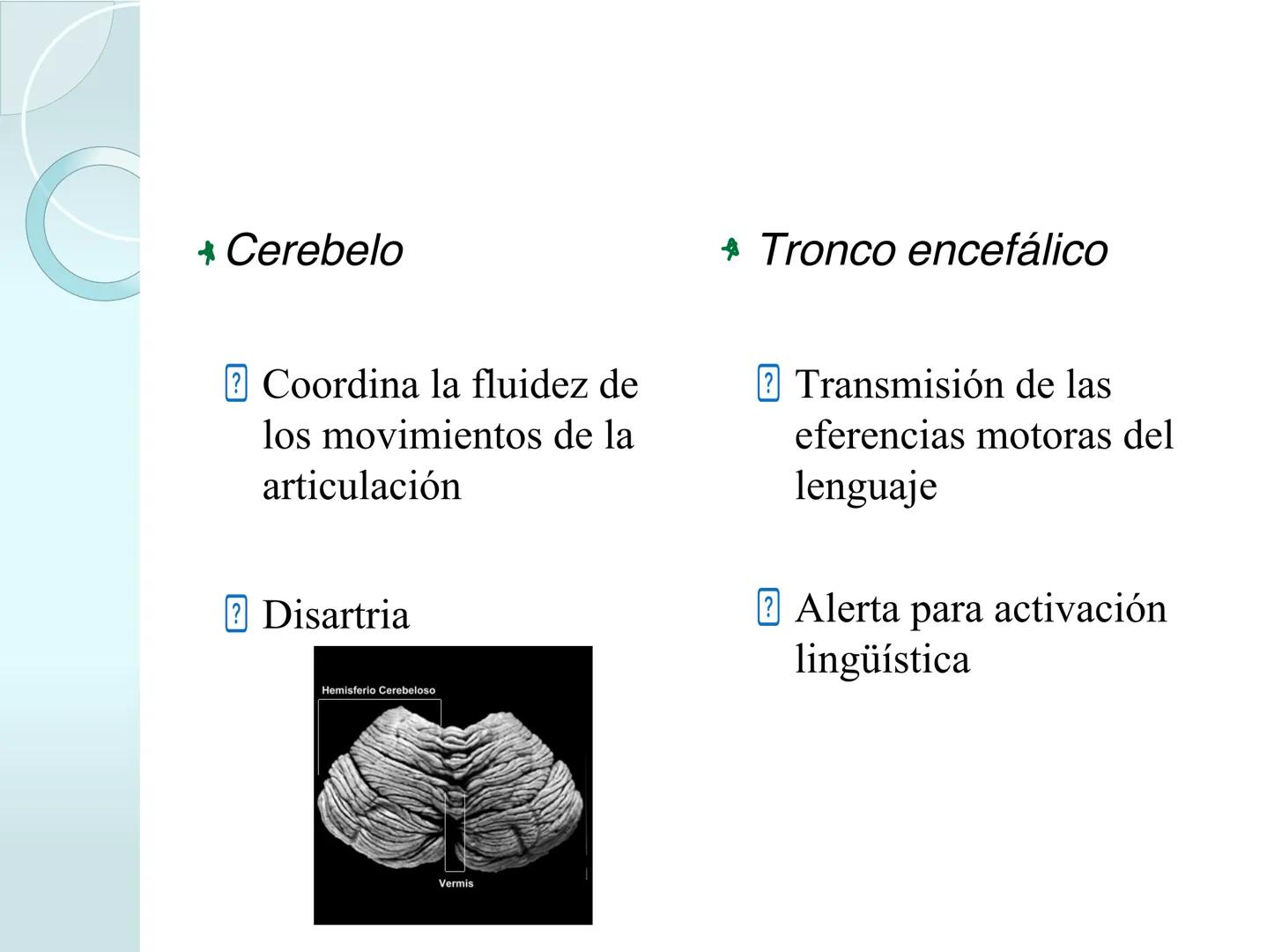 # NEUROPSICOLOGIA DEL
LENGUAJE
ADRIANA M. MARTINEZ
Máster en Rehabilitación Neuropsicológica y
Estimulación Cognitiva- UAB Definición
? -