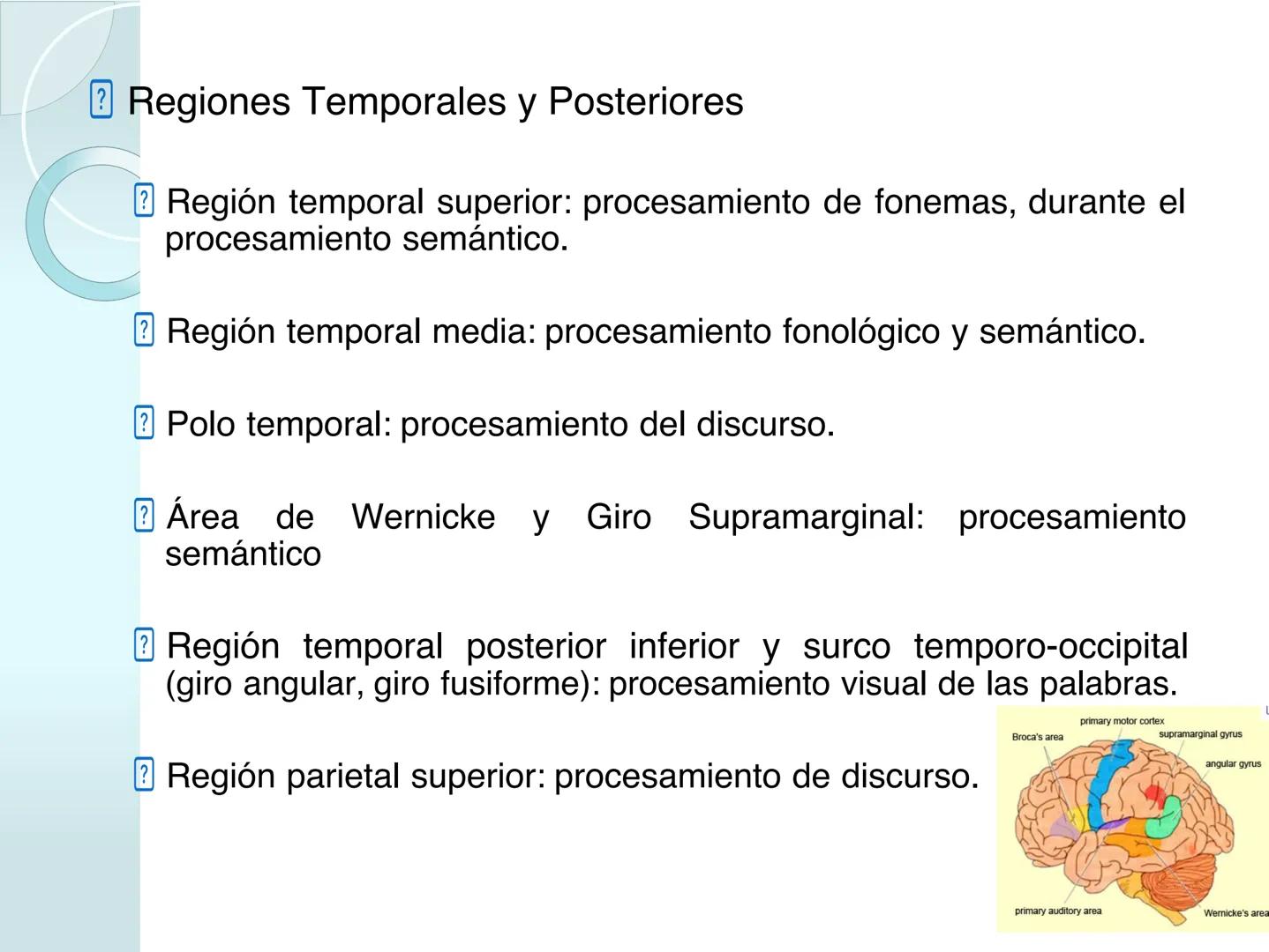 # NEUROPSICOLOGIA DEL
LENGUAJE
ADRIANA M. MARTINEZ
Máster en Rehabilitación Neuropsicológica y
Estimulación Cognitiva- UAB Definición
? -