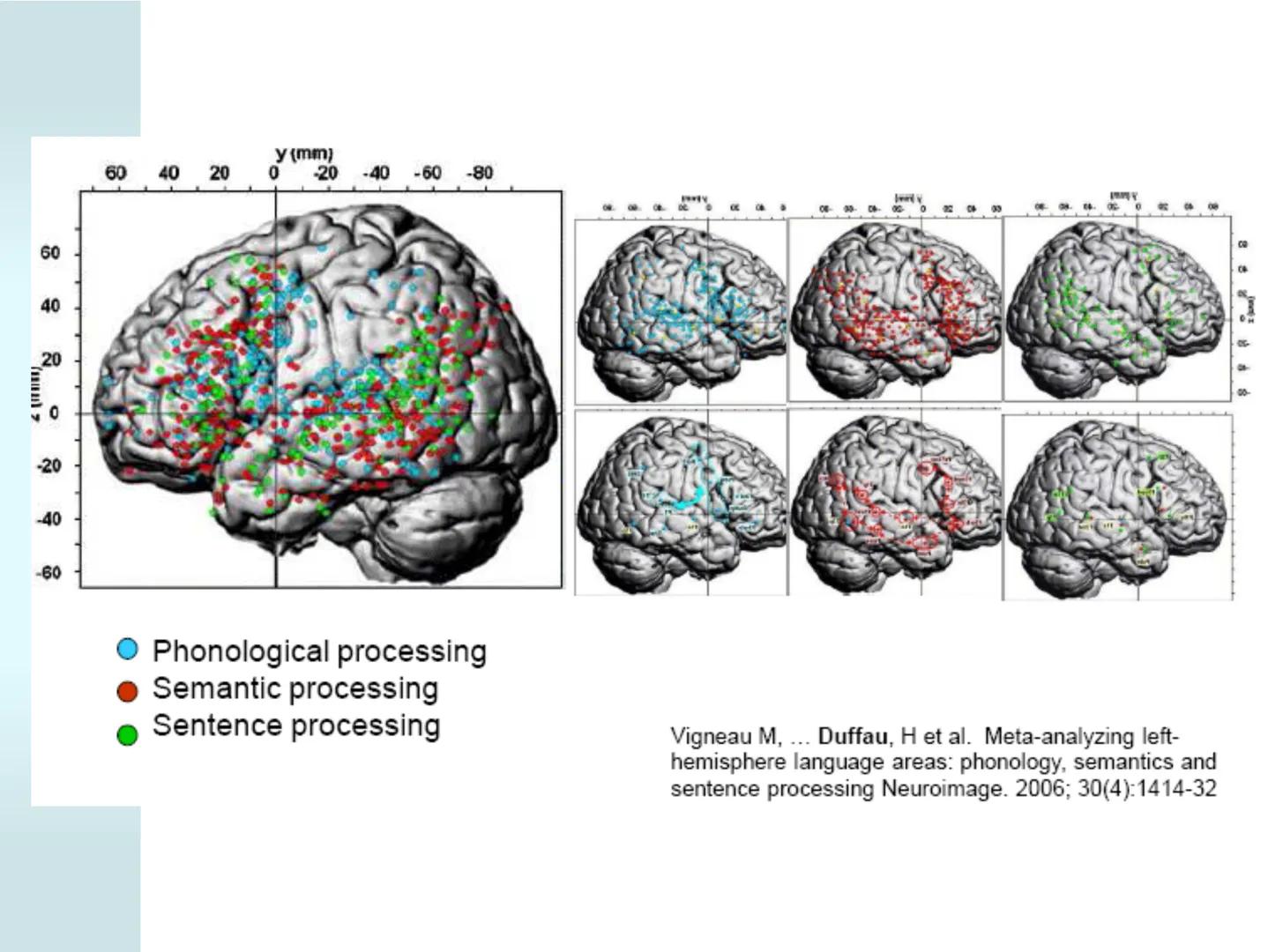 # NEUROPSICOLOGIA DEL
LENGUAJE
ADRIANA M. MARTINEZ
Máster en Rehabilitación Neuropsicológica y
Estimulación Cognitiva- UAB Definición
? -