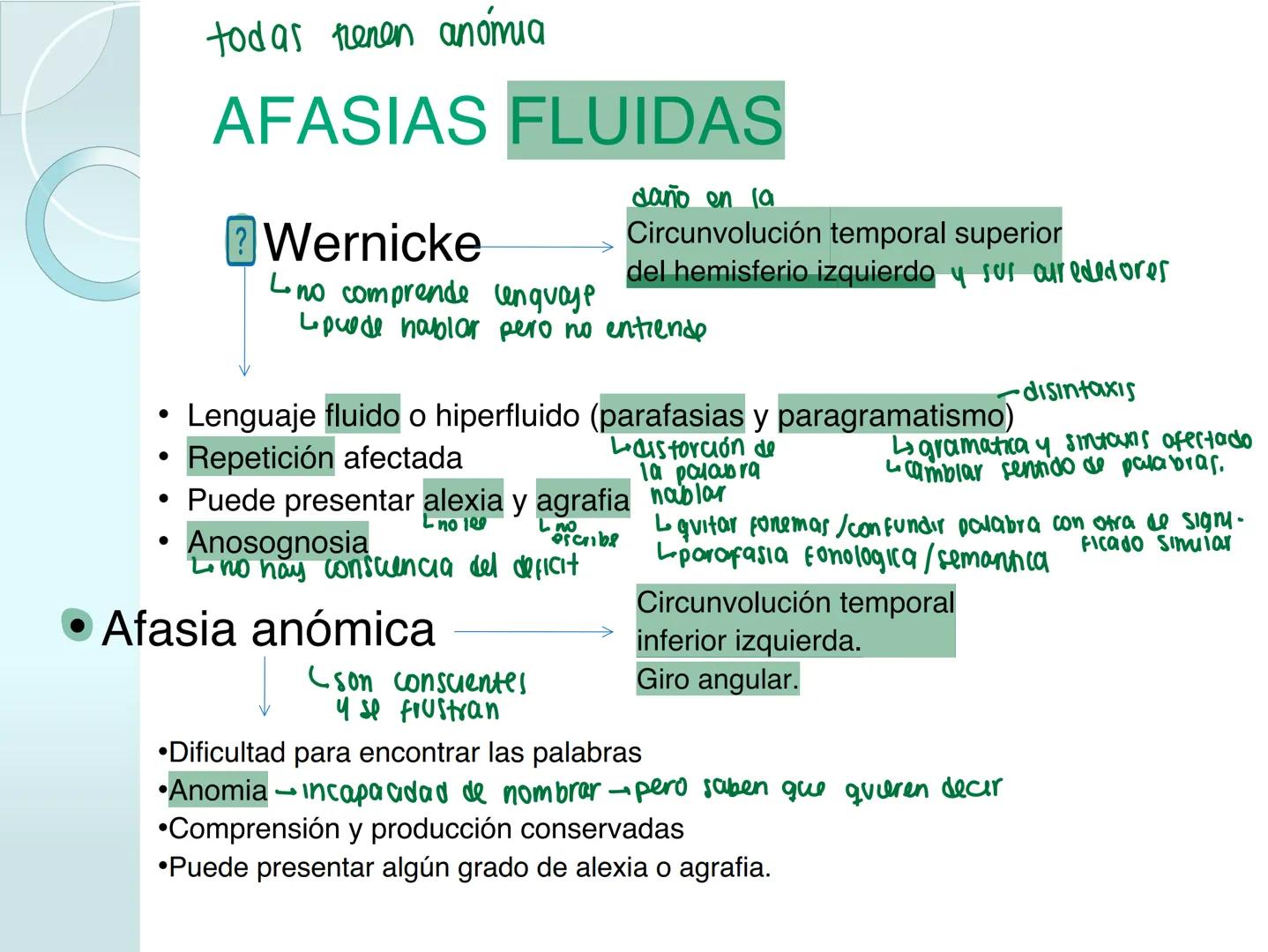 # NEUROPSICOLOGIA DEL
LENGUAJE
ADRIANA M. MARTINEZ
Máster en Rehabilitación Neuropsicológica y
Estimulación Cognitiva- UAB Definición
? -