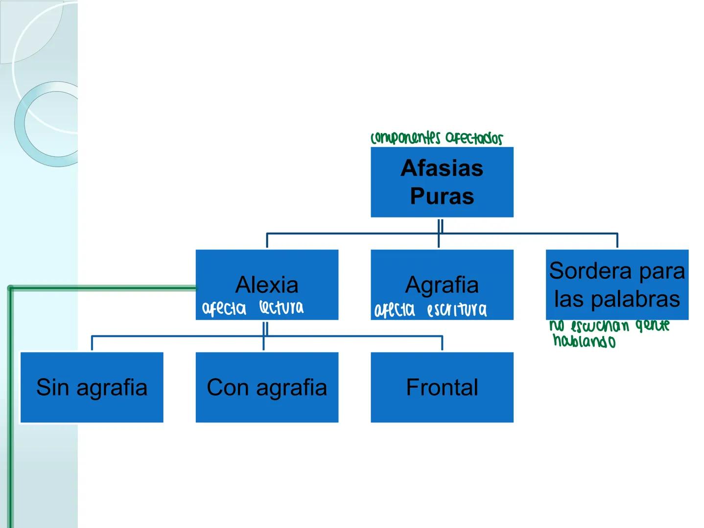 # NEUROPSICOLOGIA DEL
LENGUAJE
ADRIANA M. MARTINEZ
Máster en Rehabilitación Neuropsicológica y
Estimulación Cognitiva- UAB Definición
? -