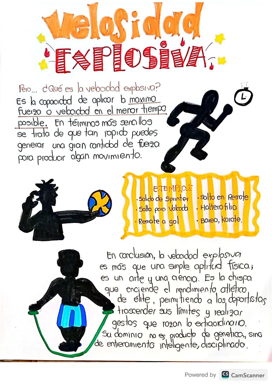 Tipos de Velocidades (Edu. Física)