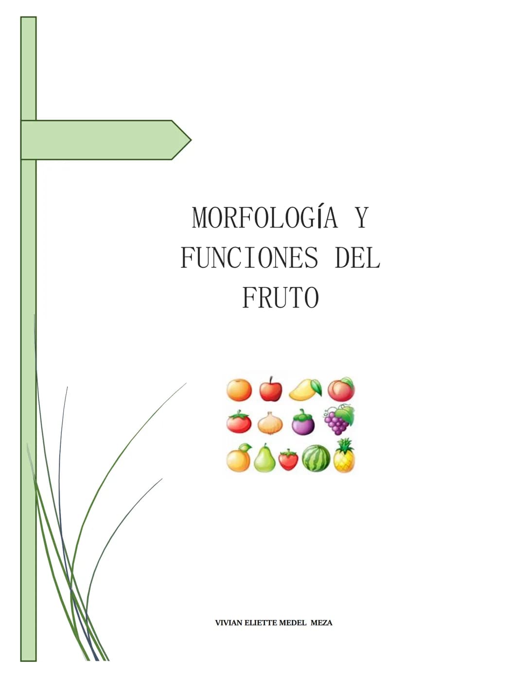 # MORFOLOGÍA Y
FUNCIONES DEL
FRUTO
VIVIAN ELIETTE MEDEL MEZA MORFOLOGÍA DEL FRUTO
Los frutos son órganos vegetales que se desarrollan a
