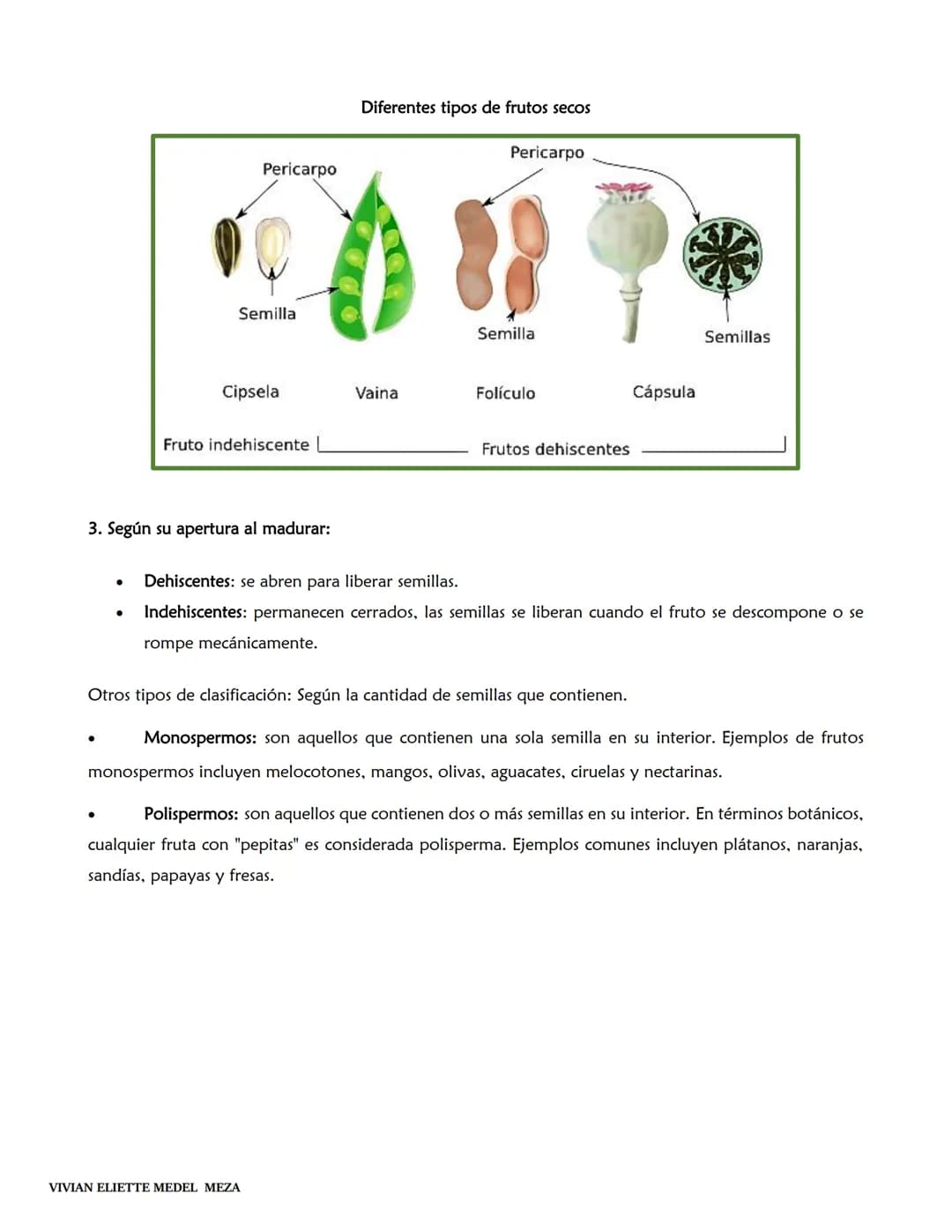 # MORFOLOGÍA Y
FUNCIONES DEL
FRUTO
VIVIAN ELIETTE MEDEL MEZA MORFOLOGÍA DEL FRUTO
Los frutos son órganos vegetales que se desarrollan a