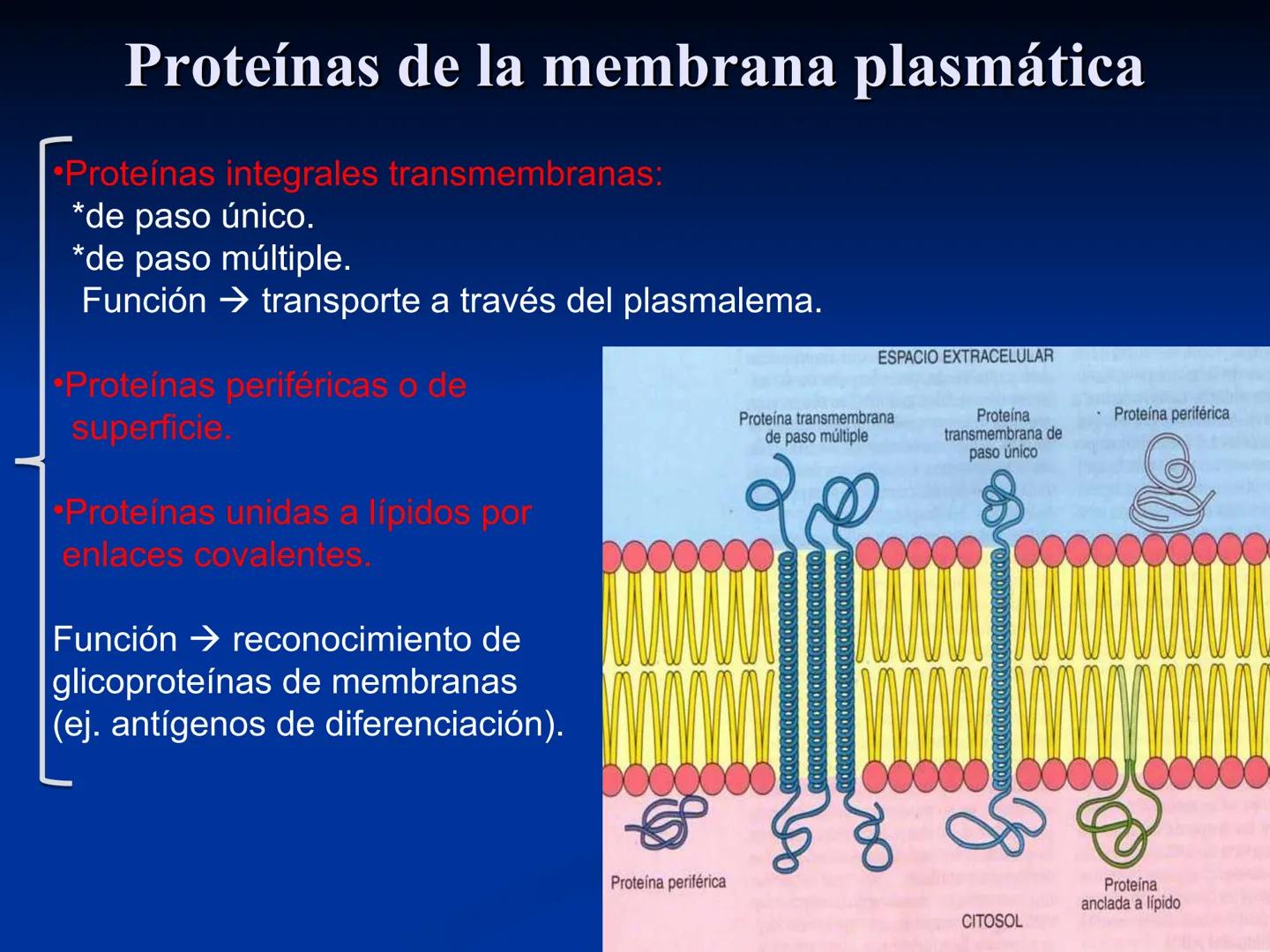CÉLULA
Prof. Tamara Solano
Cátedra de Histología y Embriología Normal
Escuela de Medicina J. M. Vargas ¿Qué es una célula?
Unidad estructura