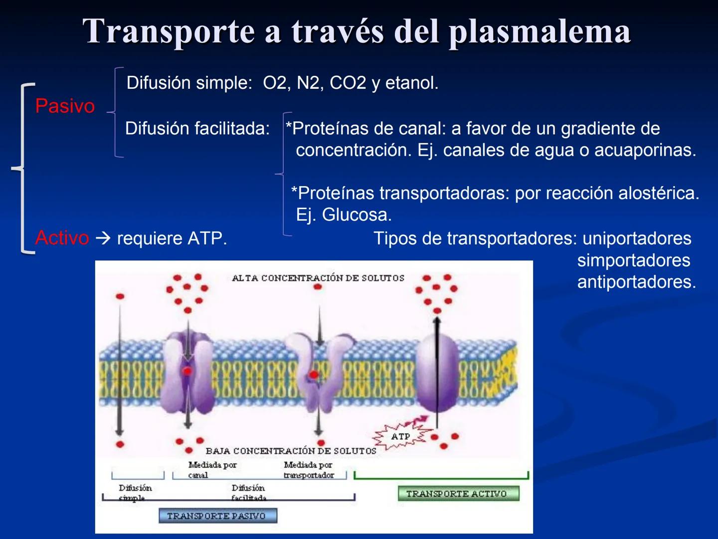 CÉLULA
Prof. Tamara Solano
Cátedra de Histología y Embriología Normal
Escuela de Medicina J. M. Vargas ¿Qué es una célula?
Unidad estructura