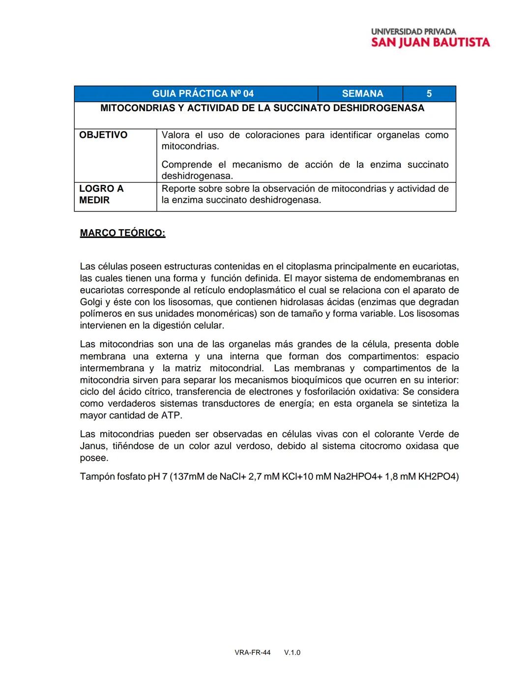 PRACTICAS DE LABORATORIO