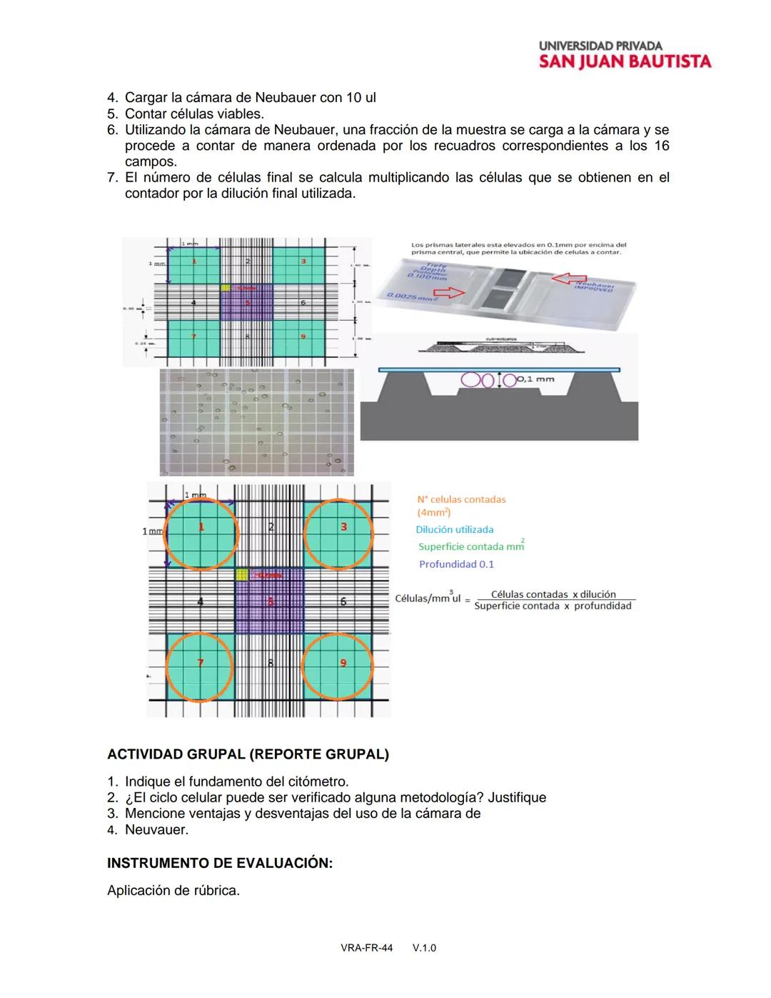 GUIA PRÁCTICA Nº 04
UNIVERSIDAD PRIVADA
SAN JUAN BAUTISTA
SEMANA
5
MITOCONDRIAS Y ACTIVIDAD DE LA SUCCINATO DESHIDROGENASA
OBJETIVO
Valora e