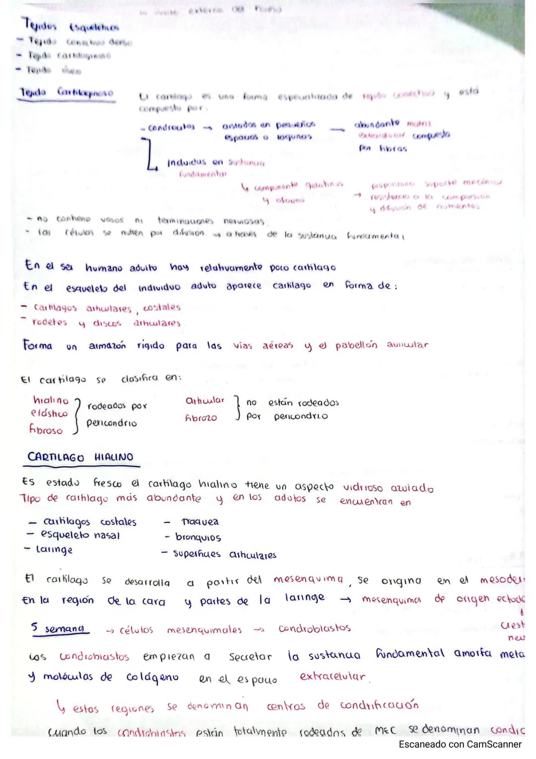Tejidos (Squelchios
Tejido Condenso
Tepda carhtigina
Tejido en
Tepdo Cartilapποιο
Li canlags es una forma espeualaada de teper conechos y es