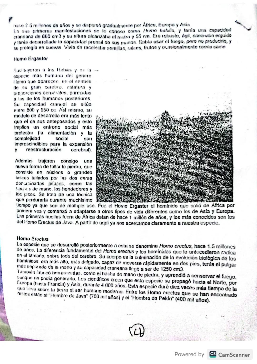 # INDUCCIÓN:
3. Lee atentamente el siguiente texto y subraya con un color rojo el concepto de prehistoria, y
con un color verde los princip