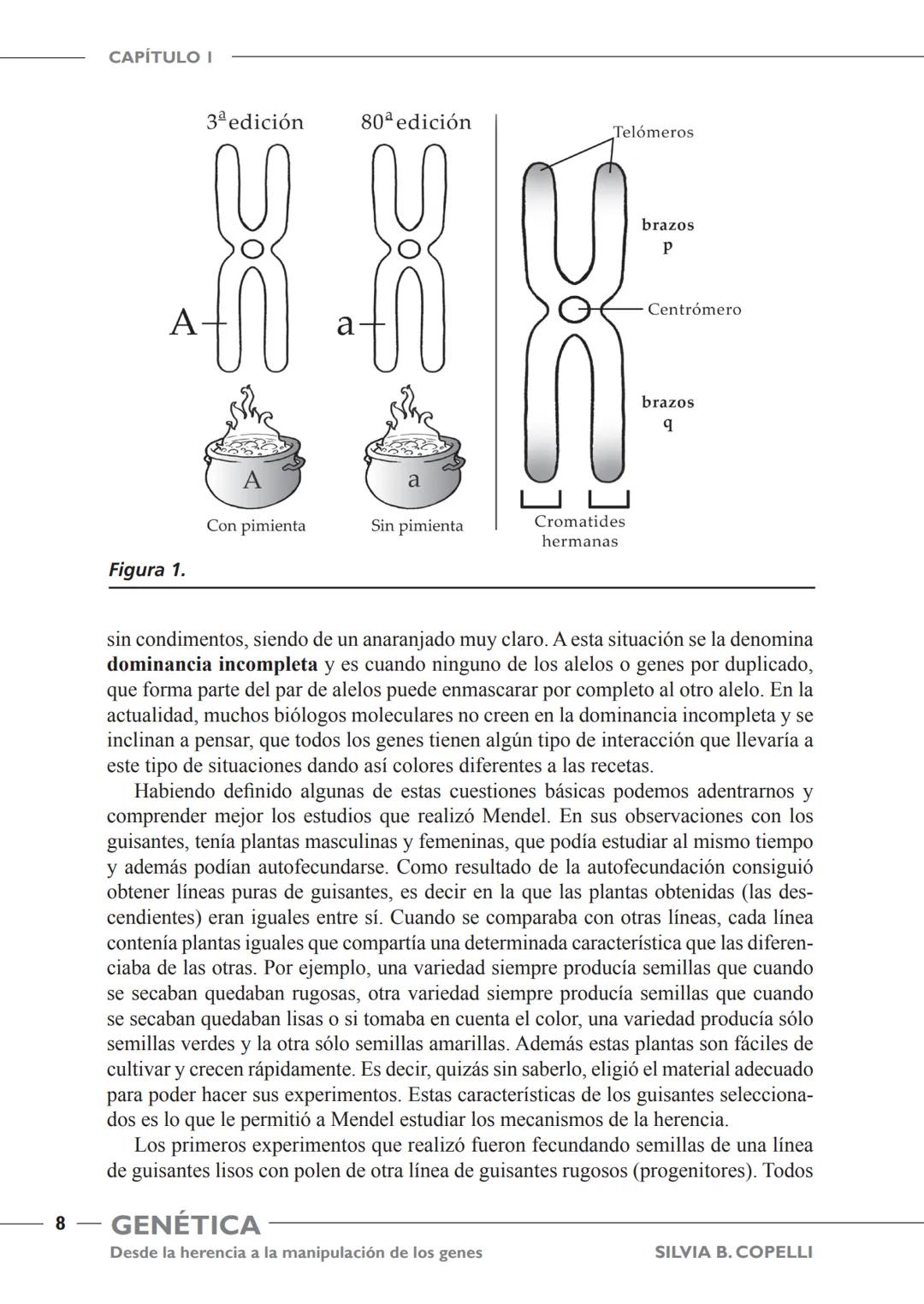 GENÉTICA
Desde la herencia
a la manipulación
de los genes
FHN
FUNDACIÓN
DE HISTORIA NATURAL
FÉLIX DE AZARA
SILVIA B. COPELLI GENÉTICA
Desde