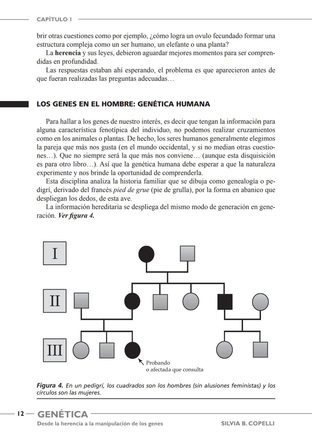 GENÉTICA
Desde la herencia
a la manipulación
de los genes
FHN
FUNDACIÓN
DE HISTORIA NATURAL
FÉLIX DE AZARA
SILVIA B. COPELLI GENÉTICA
Desde