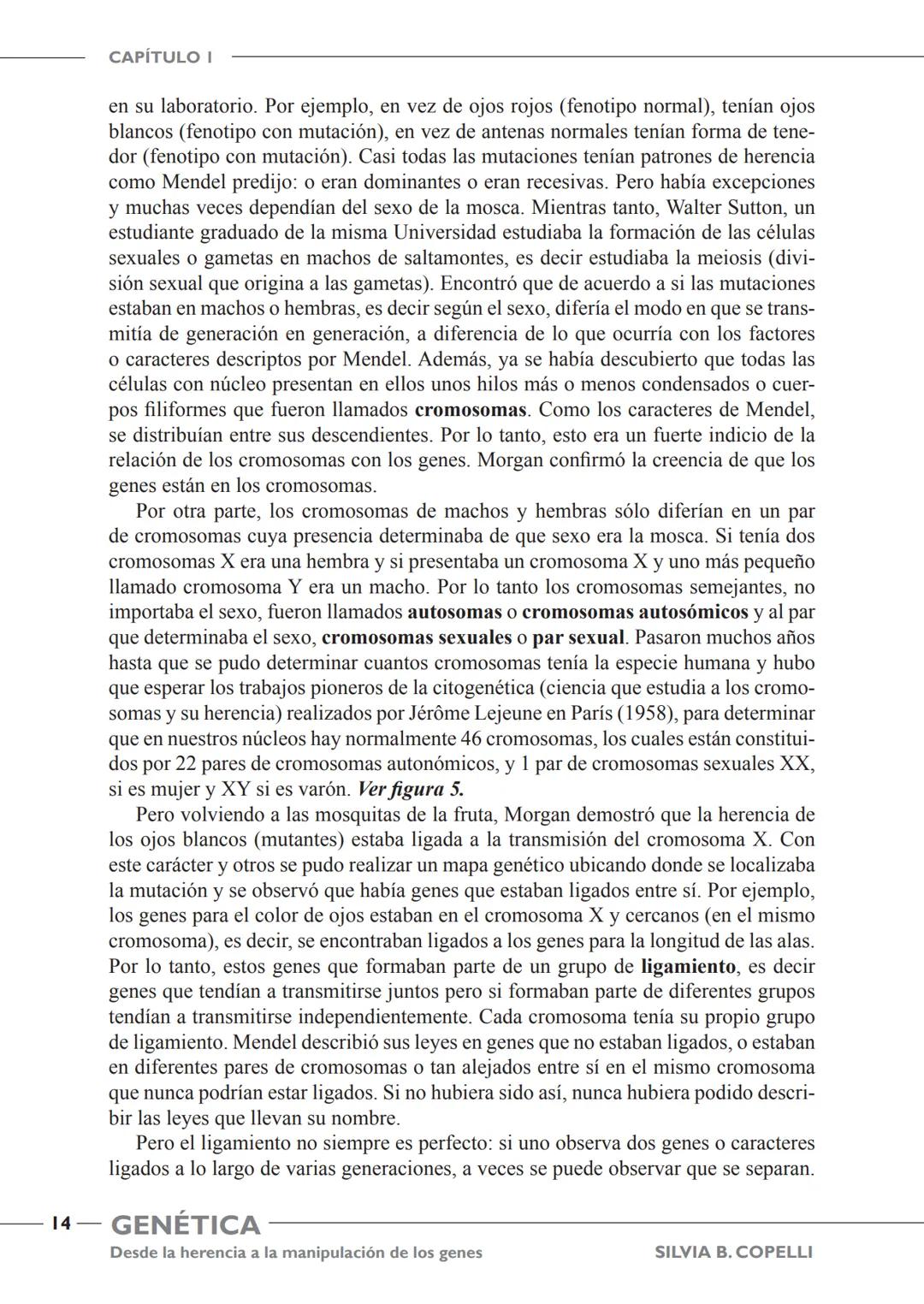 GENÉTICA
Desde la herencia
a la manipulación
de los genes
FHN
FUNDACIÓN
DE HISTORIA NATURAL
FÉLIX DE AZARA
SILVIA B. COPELLI GENÉTICA
Desde
