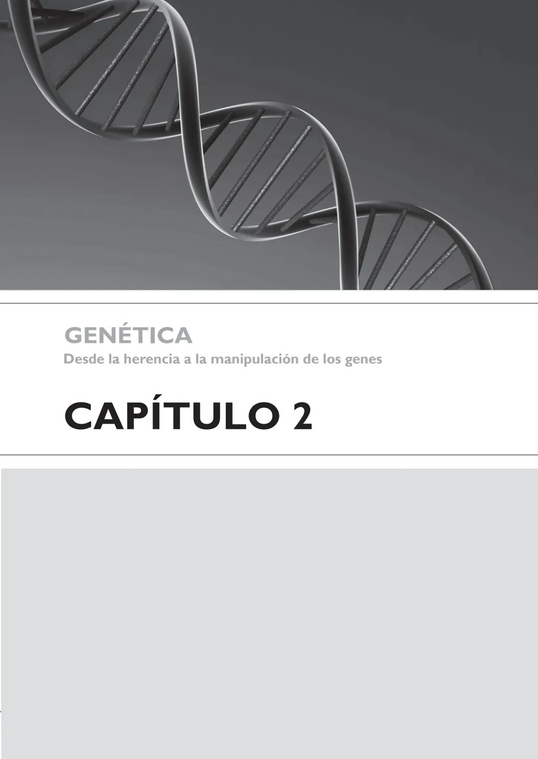 GENÉTICA
Desde la herencia
a la manipulación
de los genes
FHN
FUNDACIÓN
DE HISTORIA NATURAL
FÉLIX DE AZARA
SILVIA B. COPELLI GENÉTICA
Desde