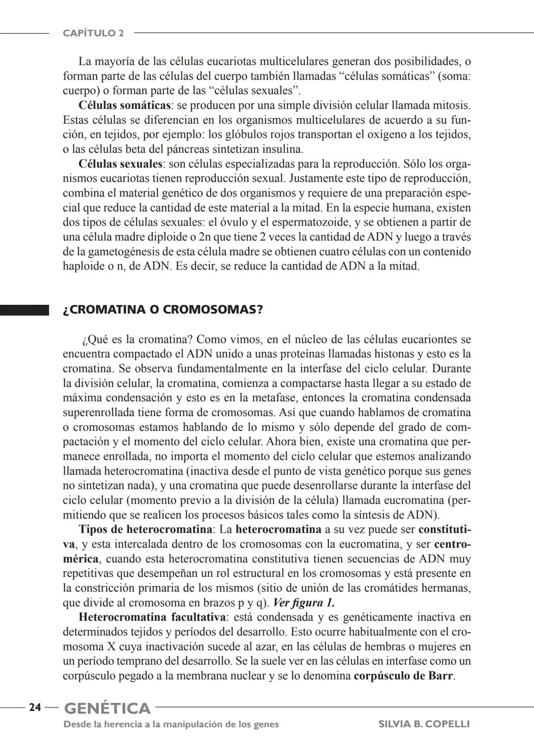 GENÉTICA
Desde la herencia
a la manipulación
de los genes
FHN
FUNDACIÓN
DE HISTORIA NATURAL
FÉLIX DE AZARA
SILVIA B. COPELLI GENÉTICA
Desde