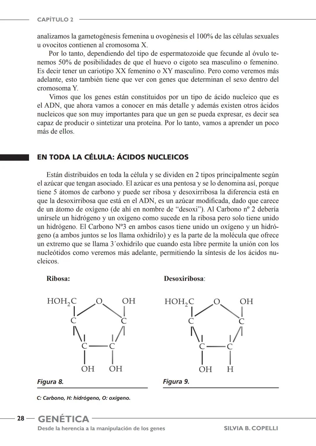 GENÉTICA
Desde la herencia
a la manipulación
de los genes
FHN
FUNDACIÓN
DE HISTORIA NATURAL
FÉLIX DE AZARA
SILVIA B. COPELLI GENÉTICA
Desde