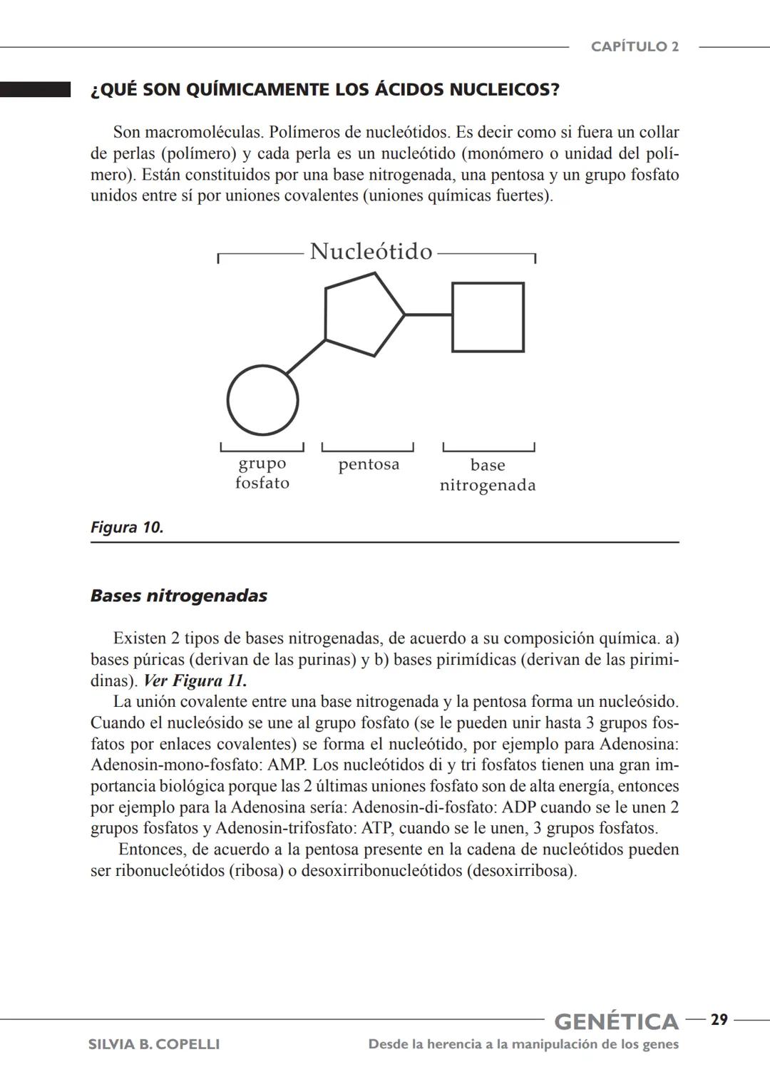 GENÉTICA
Desde la herencia
a la manipulación
de los genes
FHN
FUNDACIÓN
DE HISTORIA NATURAL
FÉLIX DE AZARA
SILVIA B. COPELLI GENÉTICA
Desde