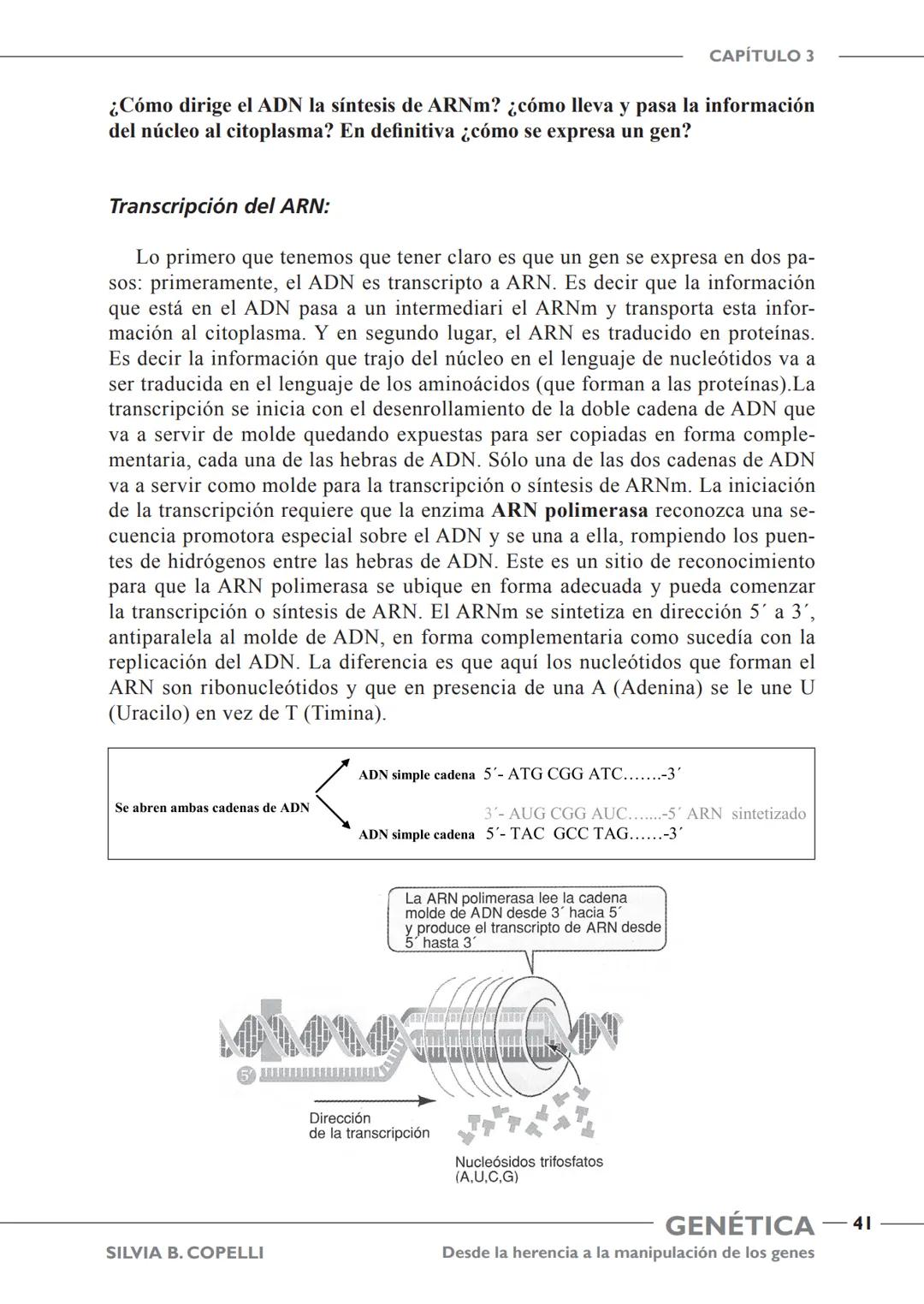 GENÉTICA
Desde la herencia
a la manipulación
de los genes
FHN
FUNDACIÓN
DE HISTORIA NATURAL
FÉLIX DE AZARA
SILVIA B. COPELLI GENÉTICA
Desde
