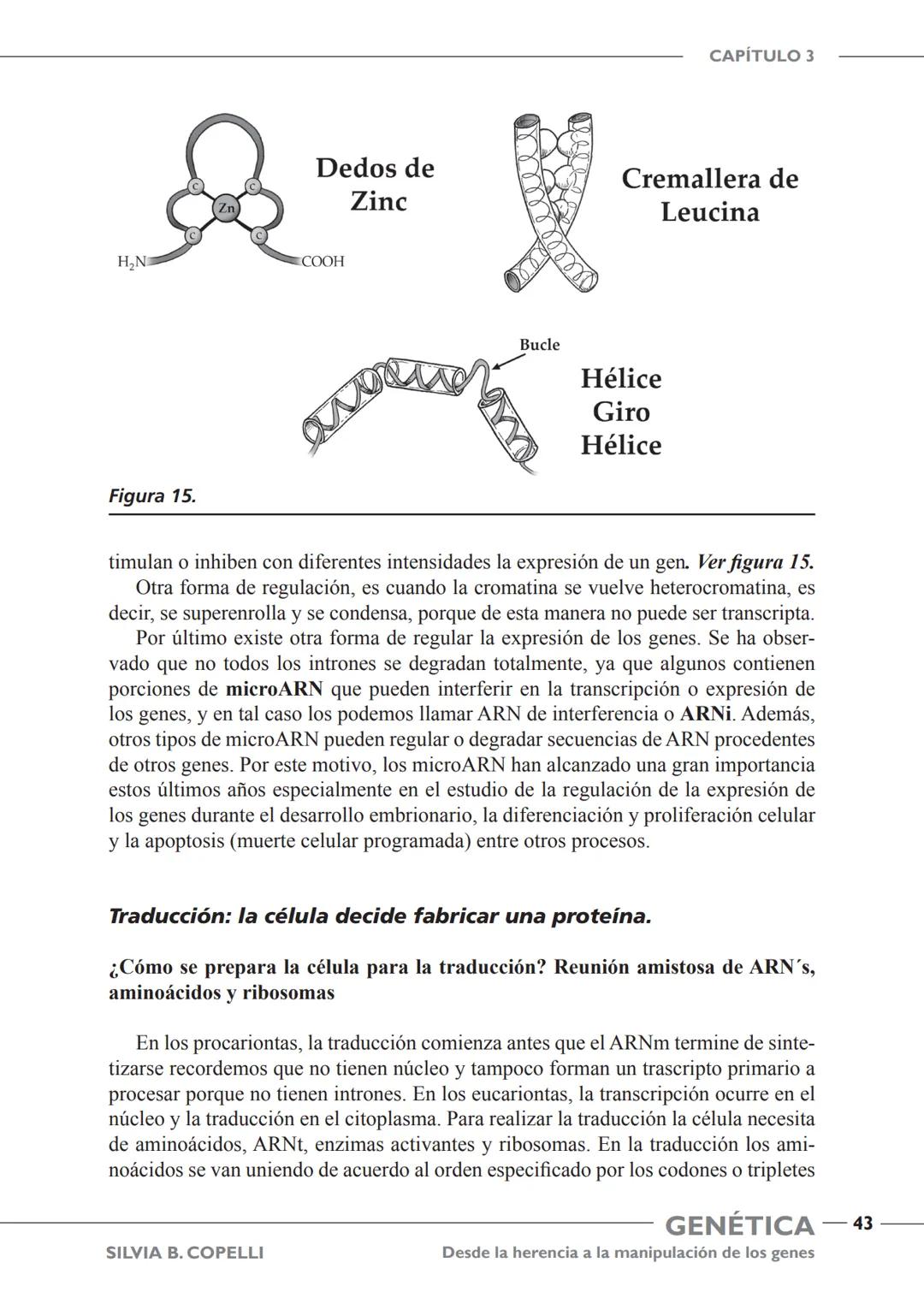 GENÉTICA
Desde la herencia
a la manipulación
de los genes
FHN
FUNDACIÓN
DE HISTORIA NATURAL
FÉLIX DE AZARA
SILVIA B. COPELLI GENÉTICA
Desde