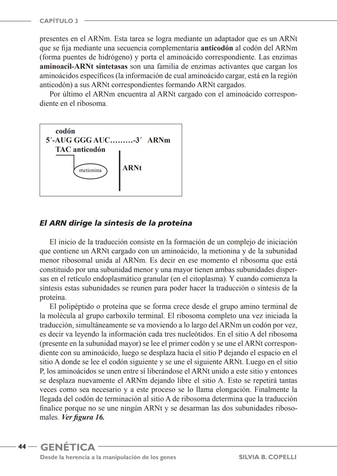 GENÉTICA
Desde la herencia
a la manipulación
de los genes
FHN
FUNDACIÓN
DE HISTORIA NATURAL
FÉLIX DE AZARA
SILVIA B. COPELLI GENÉTICA
Desde