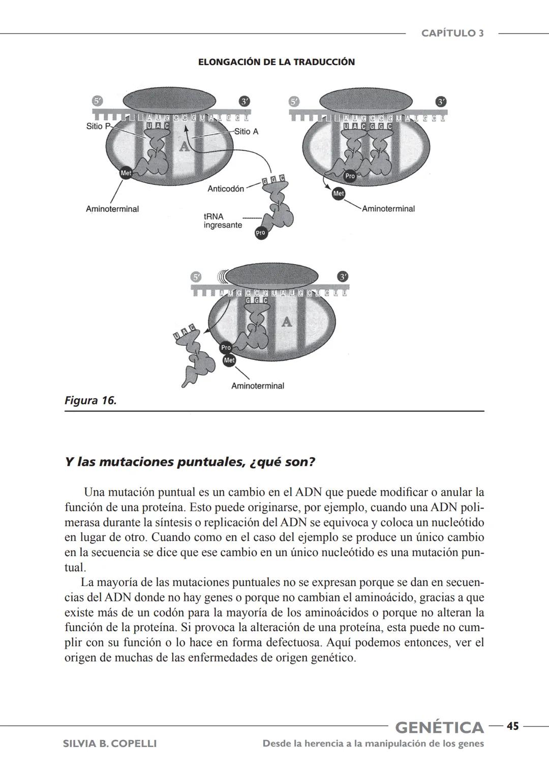 GENÉTICA
Desde la herencia
a la manipulación
de los genes
FHN
FUNDACIÓN
DE HISTORIA NATURAL
FÉLIX DE AZARA
SILVIA B. COPELLI GENÉTICA
Desde