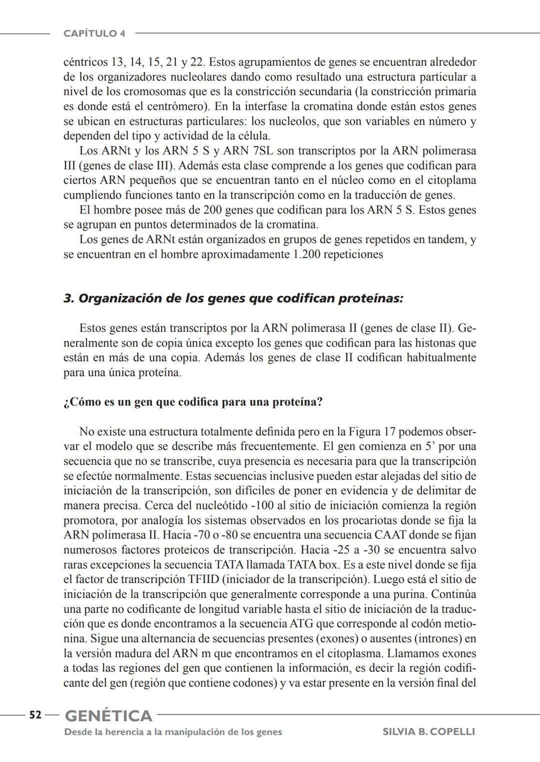 GENÉTICA
Desde la herencia
a la manipulación
de los genes
FHN
FUNDACIÓN
DE HISTORIA NATURAL
FÉLIX DE AZARA
SILVIA B. COPELLI GENÉTICA
Desde