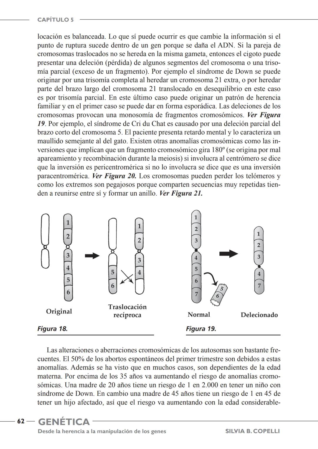 GENÉTICA
Desde la herencia
a la manipulación
de los genes
FHN
FUNDACIÓN
DE HISTORIA NATURAL
FÉLIX DE AZARA
SILVIA B. COPELLI GENÉTICA
Desde