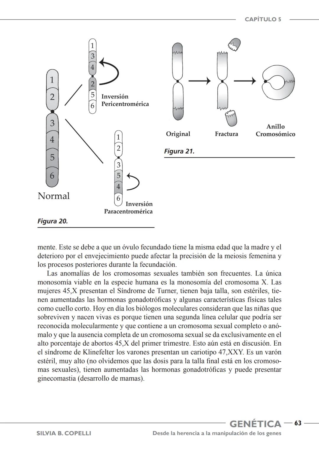 GENÉTICA
Desde la herencia
a la manipulación
de los genes
FHN
FUNDACIÓN
DE HISTORIA NATURAL
FÉLIX DE AZARA
SILVIA B. COPELLI GENÉTICA
Desde