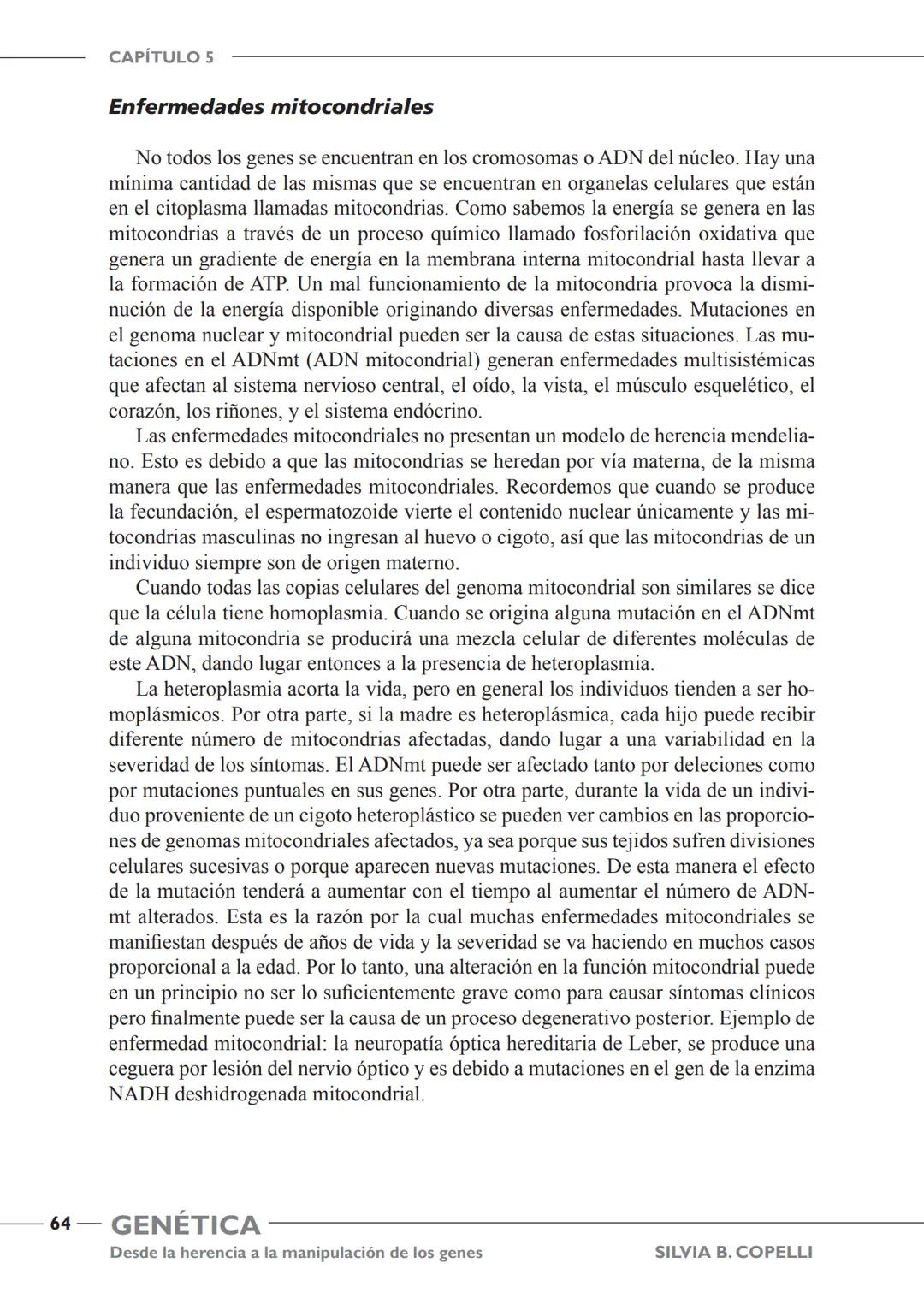 GENÉTICA
Desde la herencia
a la manipulación
de los genes
FHN
FUNDACIÓN
DE HISTORIA NATURAL
FÉLIX DE AZARA
SILVIA B. COPELLI GENÉTICA
Desde