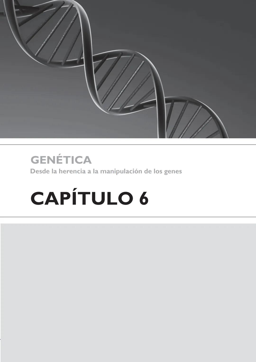 GENÉTICA
Desde la herencia
a la manipulación
de los genes
FHN
FUNDACIÓN
DE HISTORIA NATURAL
FÉLIX DE AZARA
SILVIA B. COPELLI GENÉTICA
Desde