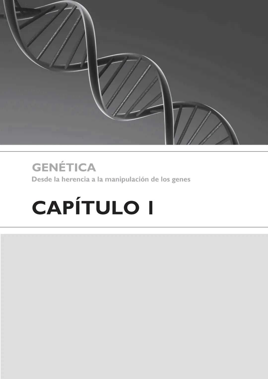 GENÉTICA
Desde la herencia
a la manipulación
de los genes
FHN
FUNDACIÓN
DE HISTORIA NATURAL
FÉLIX DE AZARA
SILVIA B. COPELLI GENÉTICA
Desde