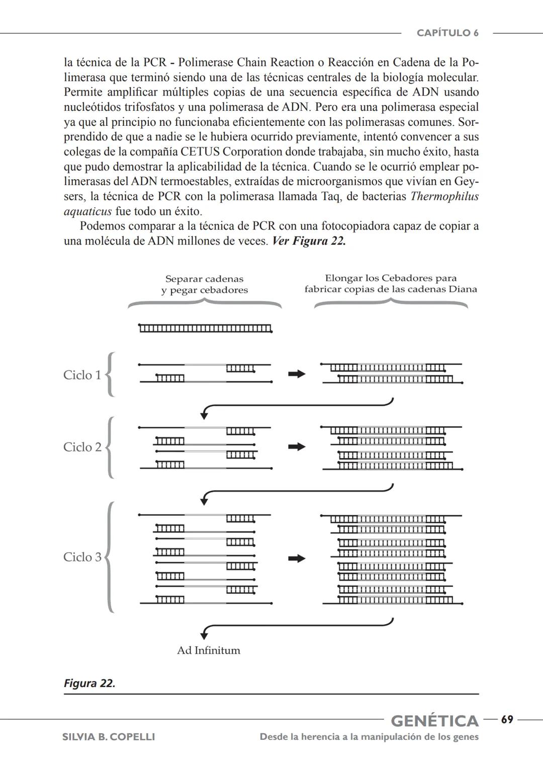 GENÉTICA
Desde la herencia
a la manipulación
de los genes
FHN
FUNDACIÓN
DE HISTORIA NATURAL
FÉLIX DE AZARA
SILVIA B. COPELLI GENÉTICA
Desde