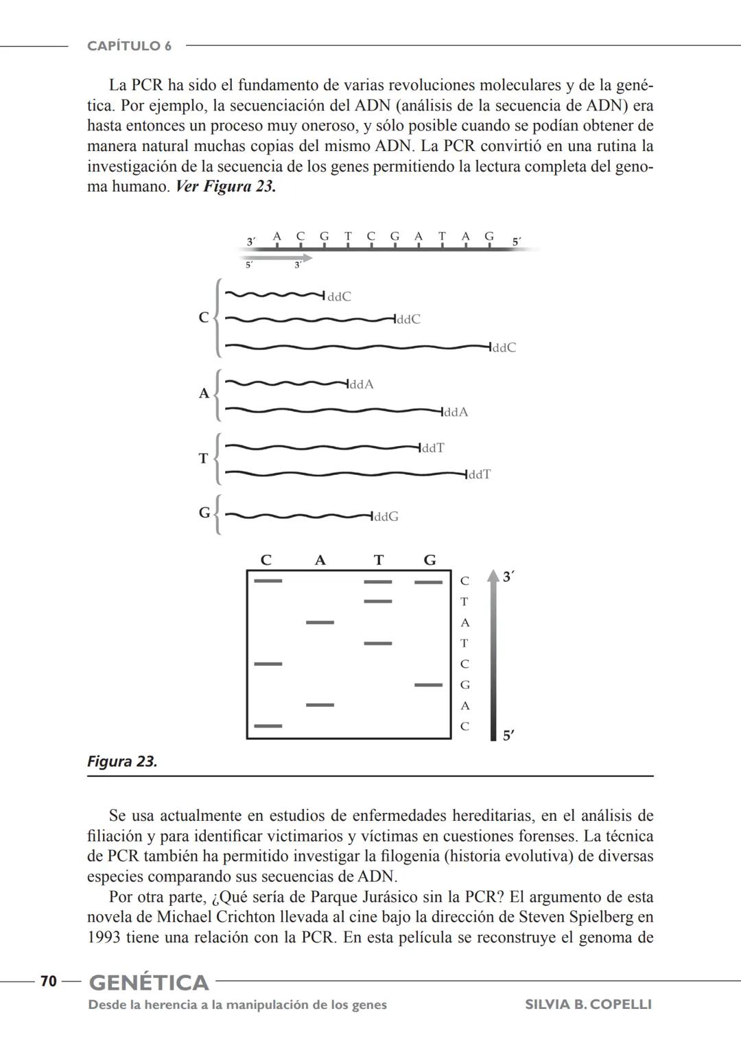 GENÉTICA
Desde la herencia
a la manipulación
de los genes
FHN
FUNDACIÓN
DE HISTORIA NATURAL
FÉLIX DE AZARA
SILVIA B. COPELLI GENÉTICA
Desde