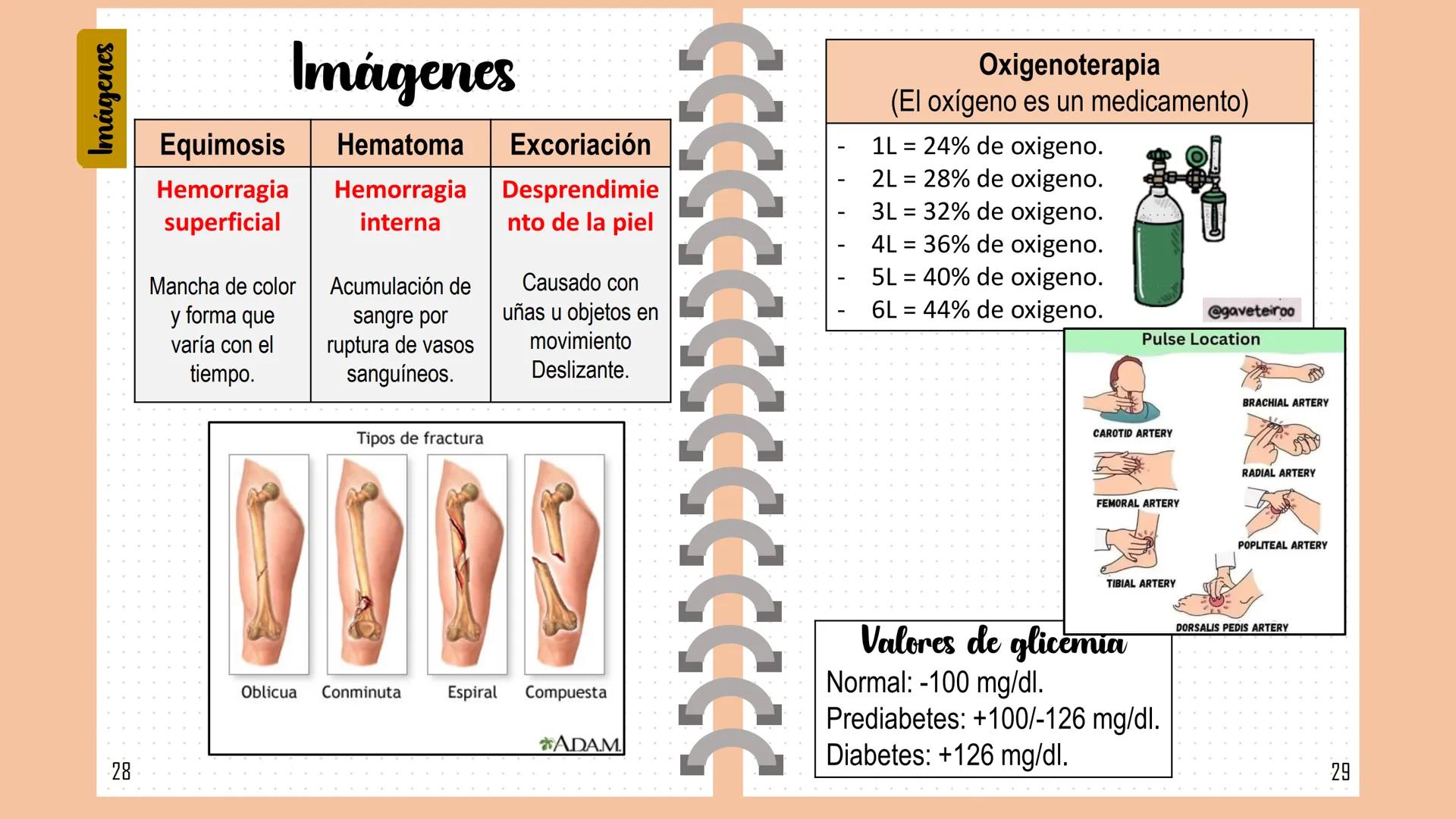 # Glosario Indice
Índice
O. Índice
1. Glosario.
18. Unidades de medida.
19. Abreviaturas.
20. Signos vitales.
22. Principales alteraciones y