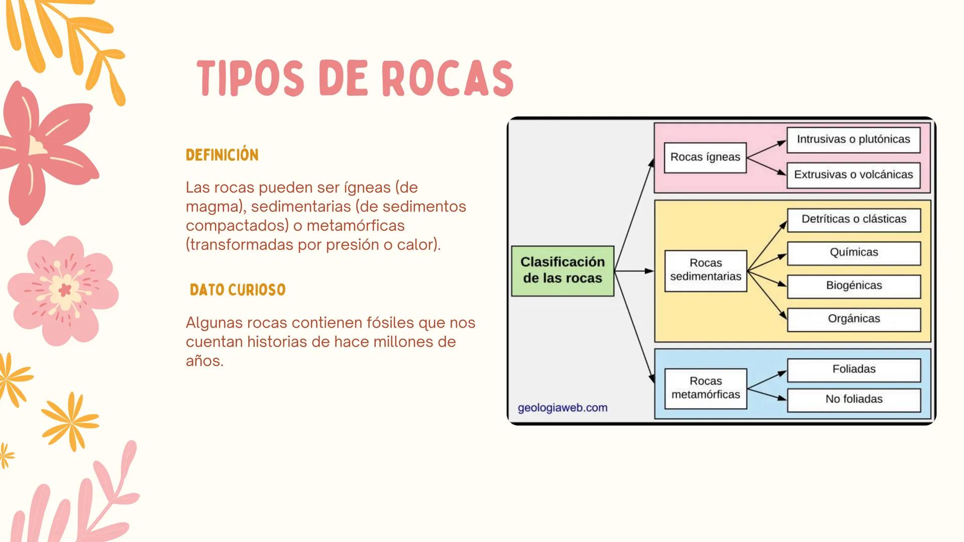 # ERAS
GEOLOGICAS
LIA MORENO Y ANA BUITRAGO 902 • Cambio
• Mutación
ÍNDICE
• Adaptación
• Diversidad
• Especiación
• Extinción
• Dinosauri