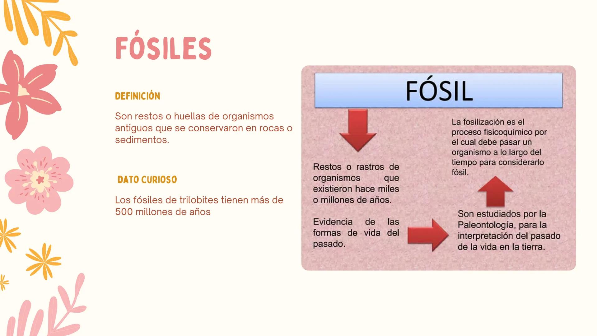 # ERAS
GEOLOGICAS
LIA MORENO Y ANA BUITRAGO 902 • Cambio
• Mutación
ÍNDICE
• Adaptación
• Diversidad
• Especiación
• Extinción
• Dinosauri