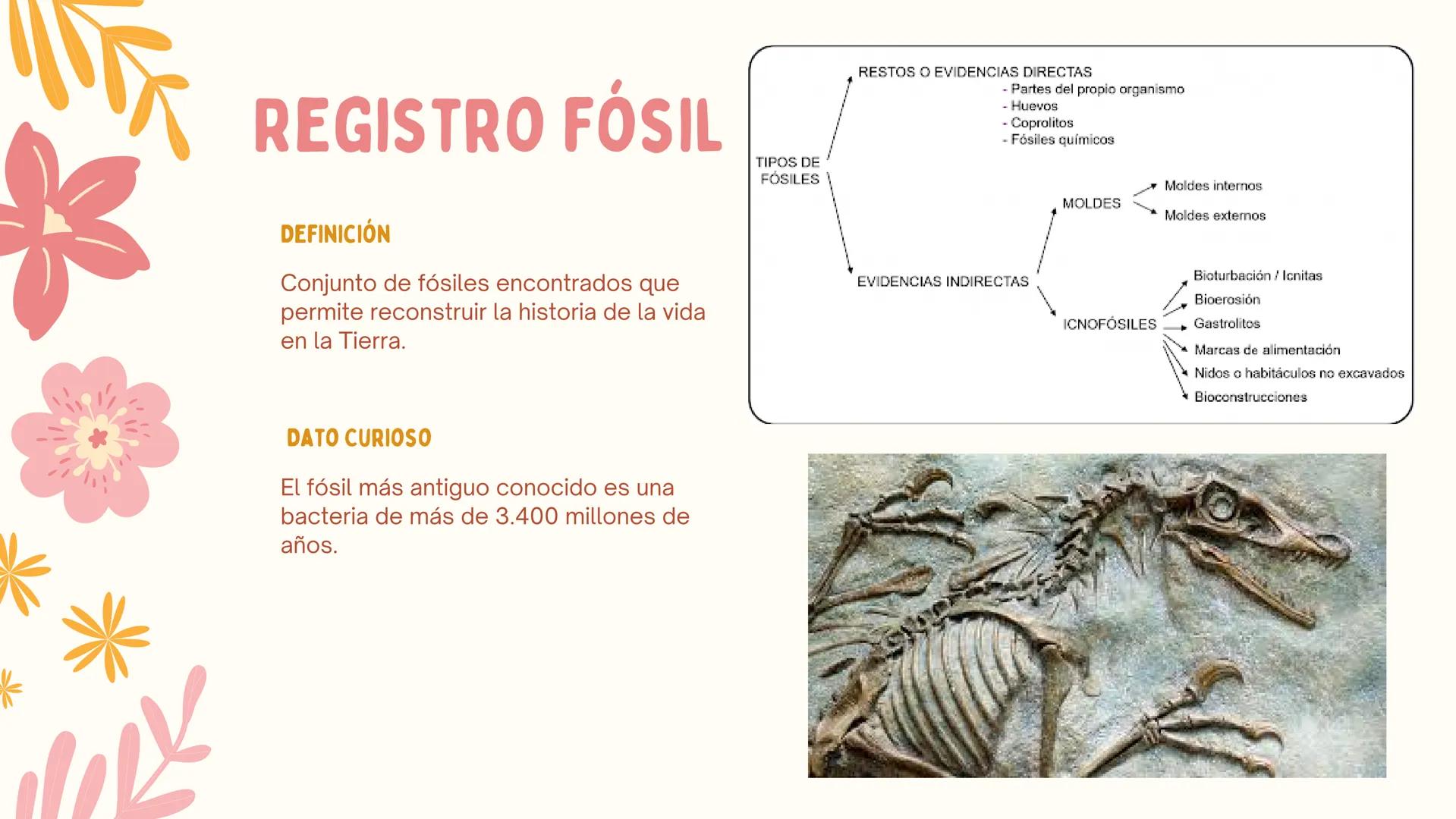 # ERAS
GEOLOGICAS
LIA MORENO Y ANA BUITRAGO 902 • Cambio
• Mutación
ÍNDICE
• Adaptación
• Diversidad
• Especiación
• Extinción
• Dinosauri
