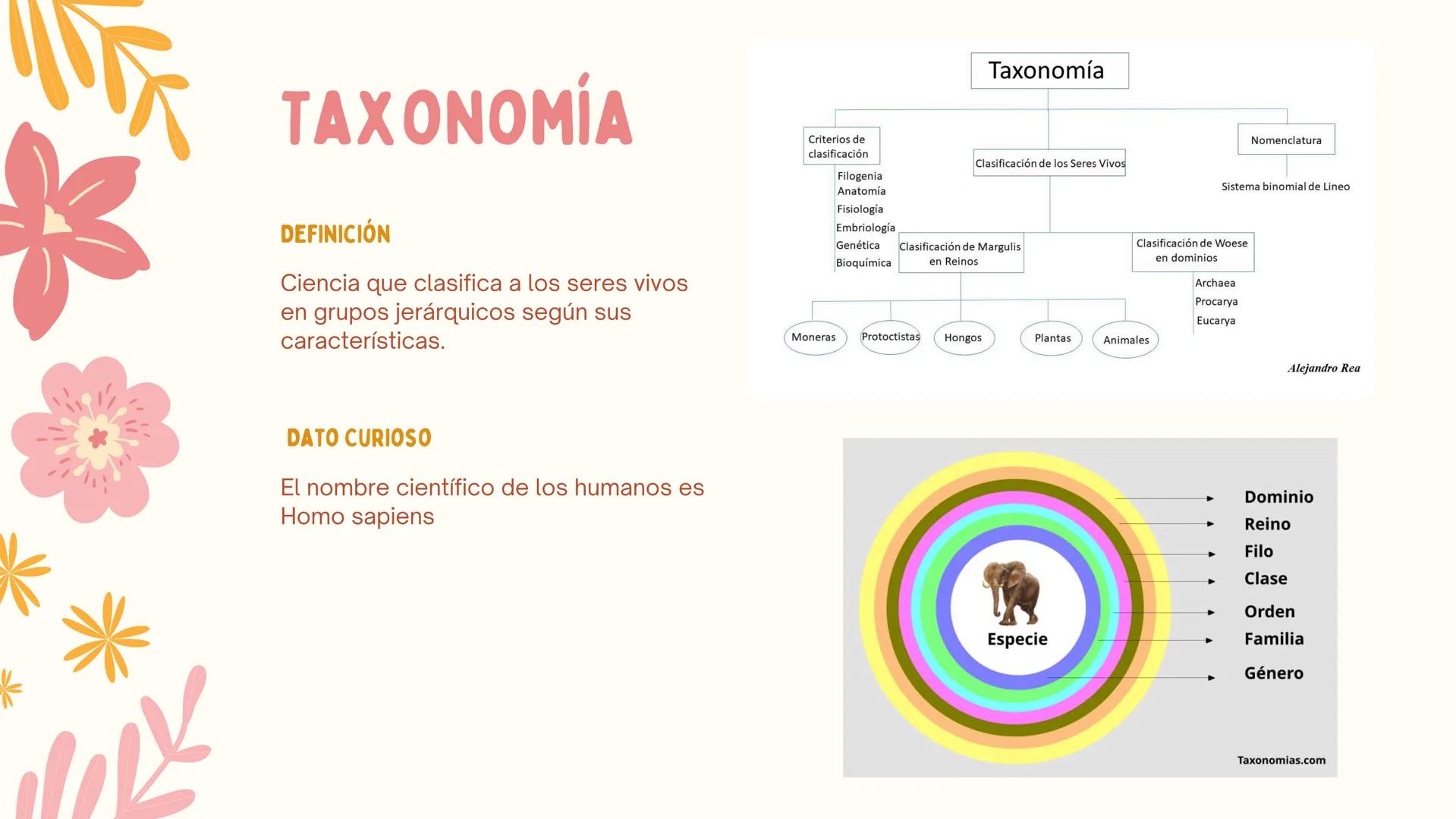 # ERAS
GEOLOGICAS
LIA MORENO Y ANA BUITRAGO 902 • Cambio
• Mutación
ÍNDICE
• Adaptación
• Diversidad
• Especiación
• Extinción
• Dinosauri