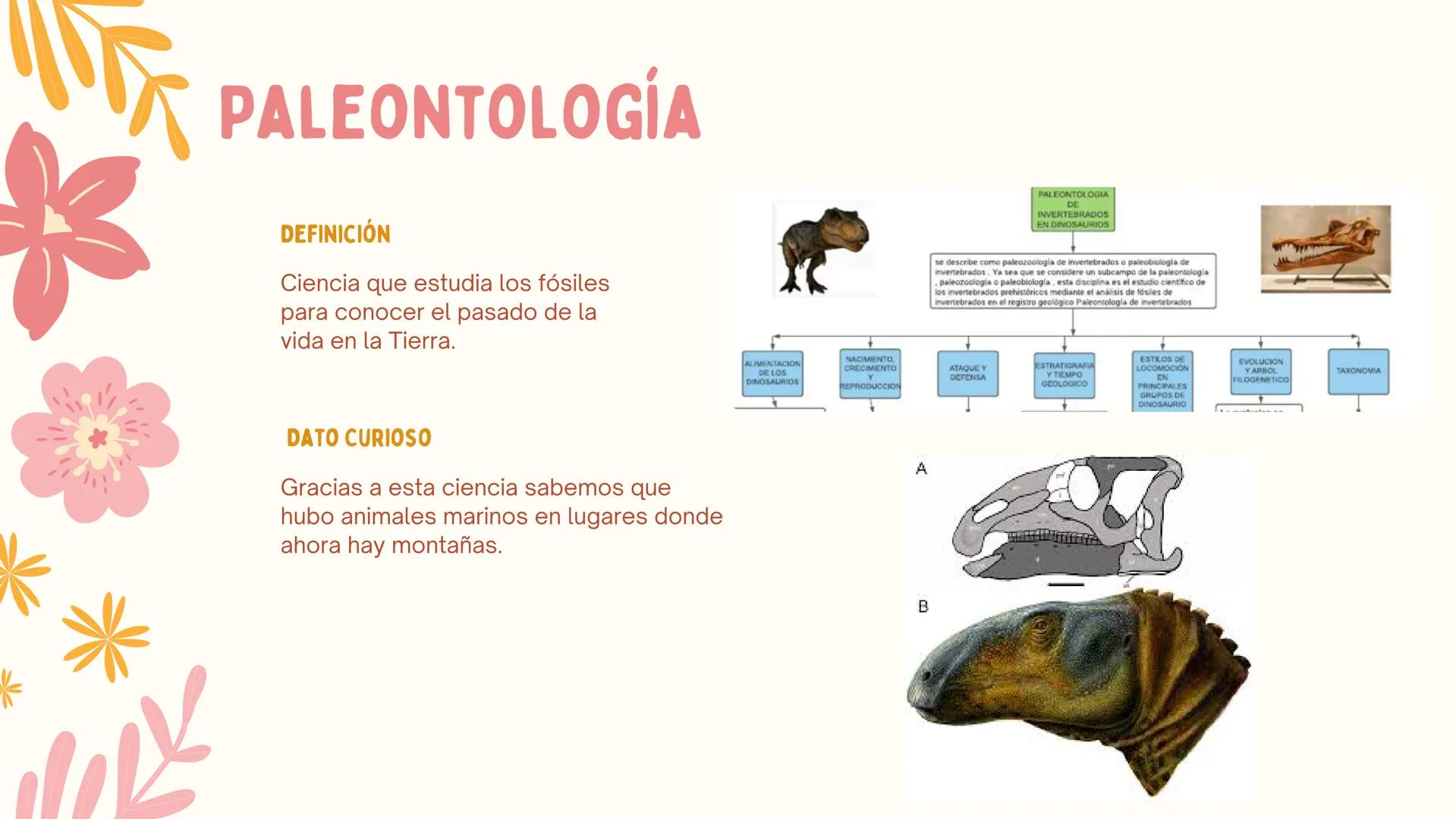 # ERAS
GEOLOGICAS
LIA MORENO Y ANA BUITRAGO 902 • Cambio
• Mutación
ÍNDICE
• Adaptación
• Diversidad
• Especiación
• Extinción
• Dinosauri
